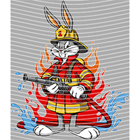 Cartoons and other-CO 2467